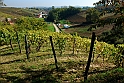 San damiano d'Asti - Colori d'autunno 2009_10